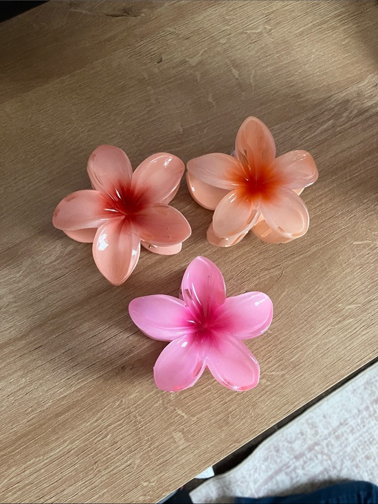 American Eagle Outfitters Other - (America eagle only the orange hair clip) 3 flower hair clips